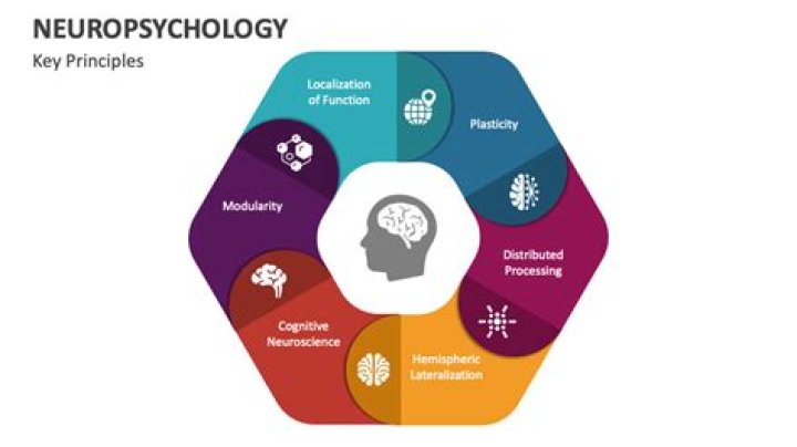 Why is neuropsychology important?