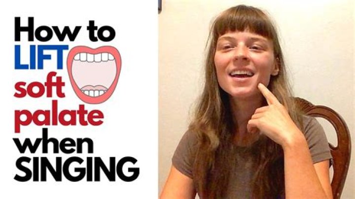 Why is palate soft?