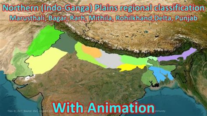 Why is punjab called the granary of india?