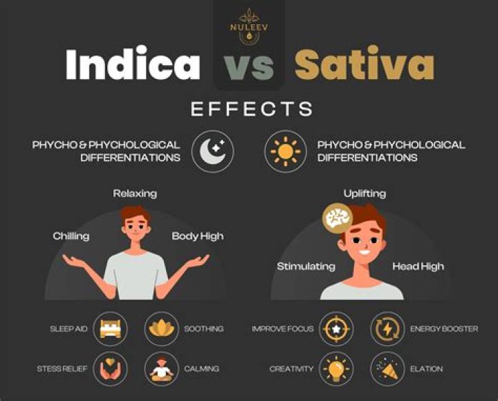 Why is sativa uplifting?