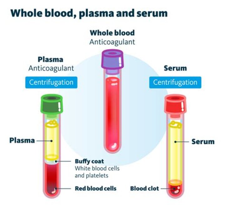 Why is serum preferred over plasma in serologic determinations?