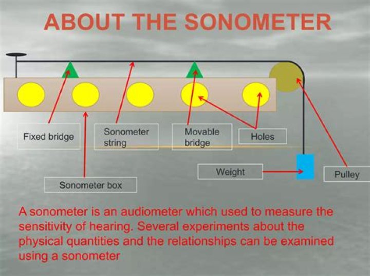 Why is sonometer box hollow from inside?