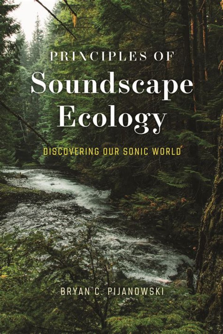 Why is soundscape considered music?