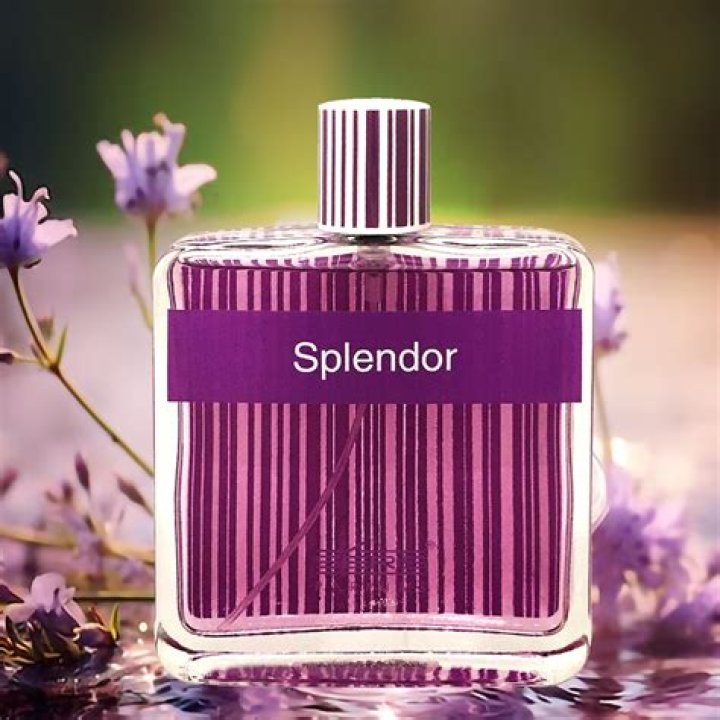 Why is splendor a noun?