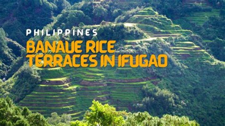 Why is the banaue rice terraces importance?