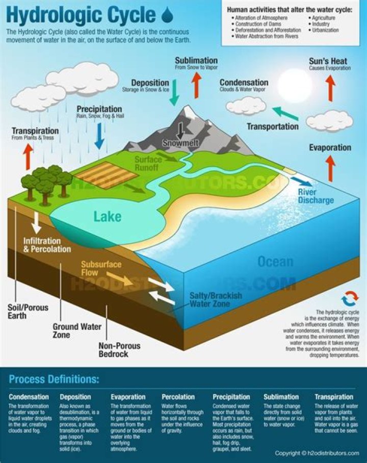 Why is the hydrological cycle important?