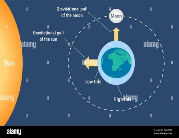 Why is the sun’s tidal force half that of the moon?
