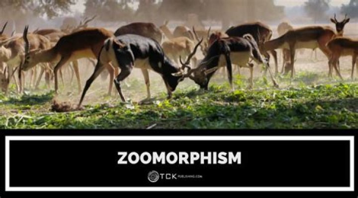 Why is zoomorphism used?