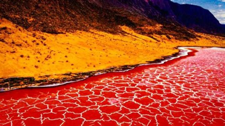 Why lake natron is red?