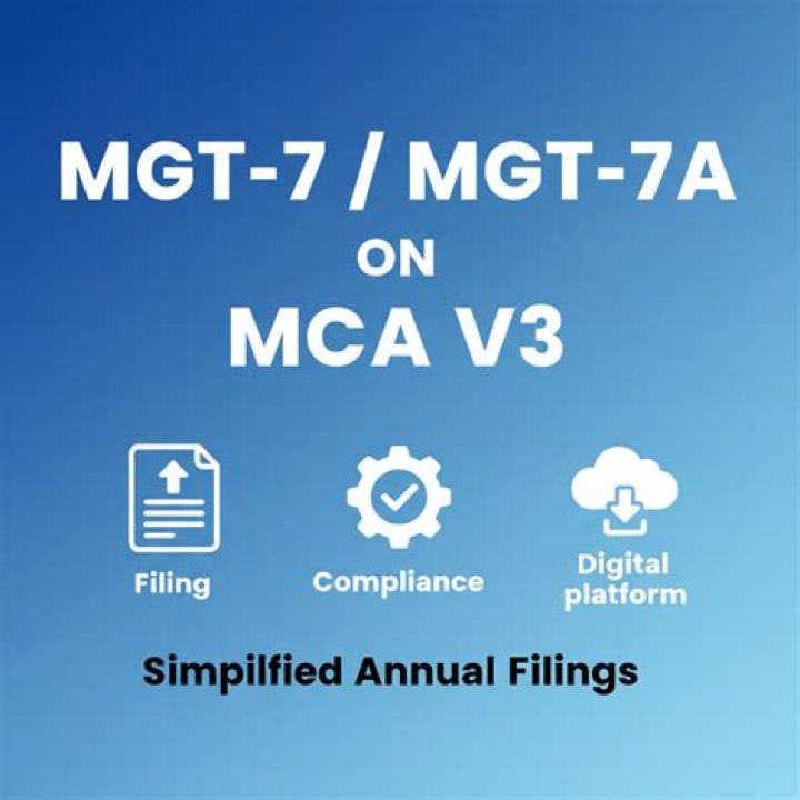 Why mgt 7 is filed?