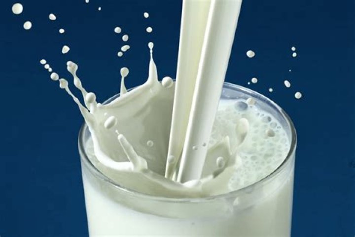 Why milk is white?