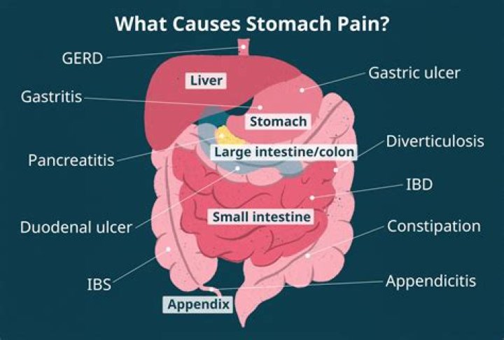 Why my stomach is sounding?