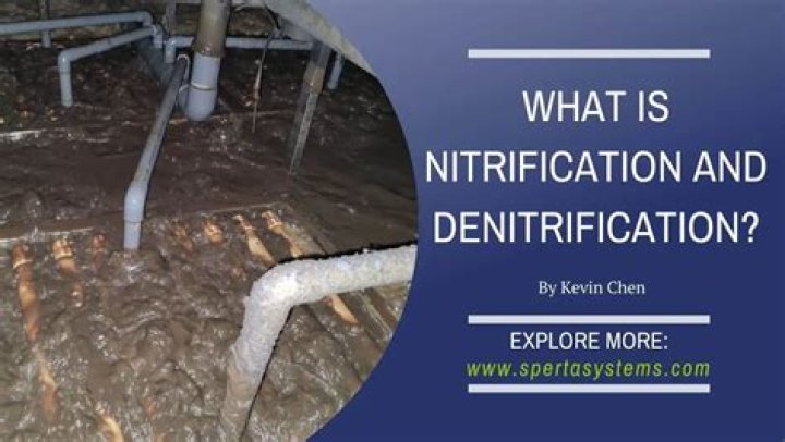 Why nitrification is a critical part of an ecosystem?