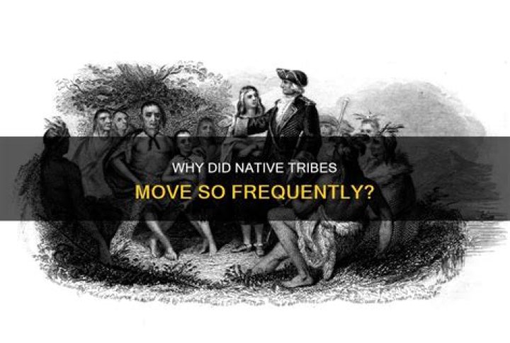 Why nomadic tribes need to move?