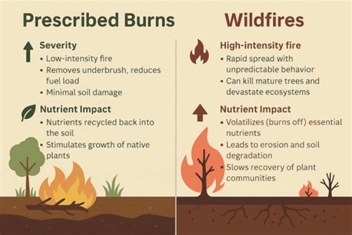 Why oleanz is prescribed?