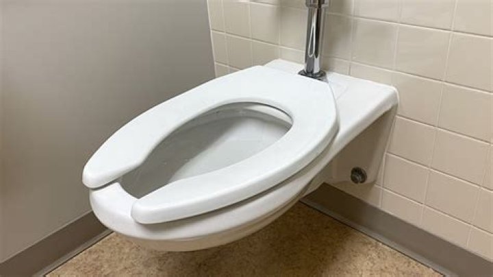 Why open front toilet seat?