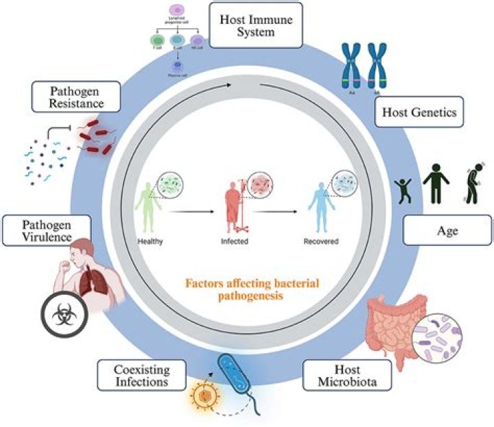 Why pathogenesis is important?