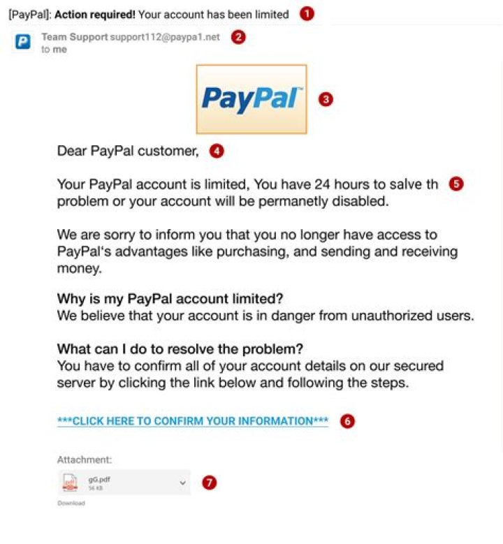 Why paypal reversed my payment?