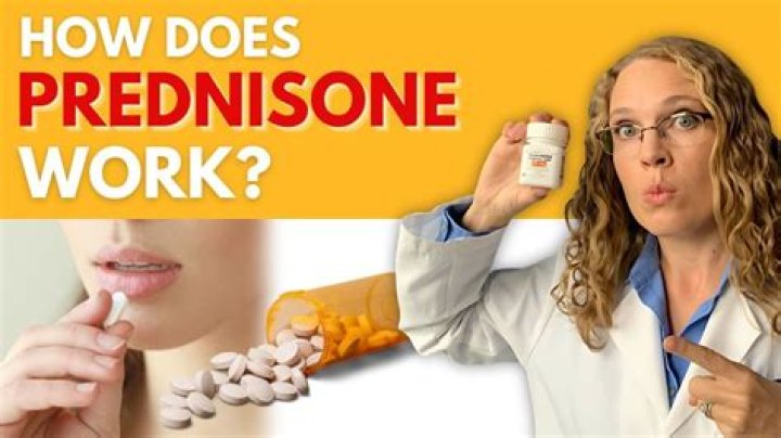 Why prednisone with zytiga?