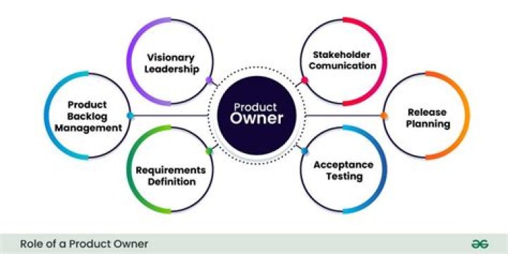 Why product owner role?