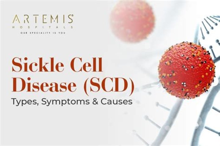 Why salmonella in sickle cell disease?