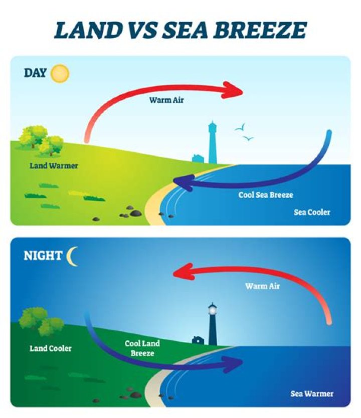 Why sea breeze blows during the day?