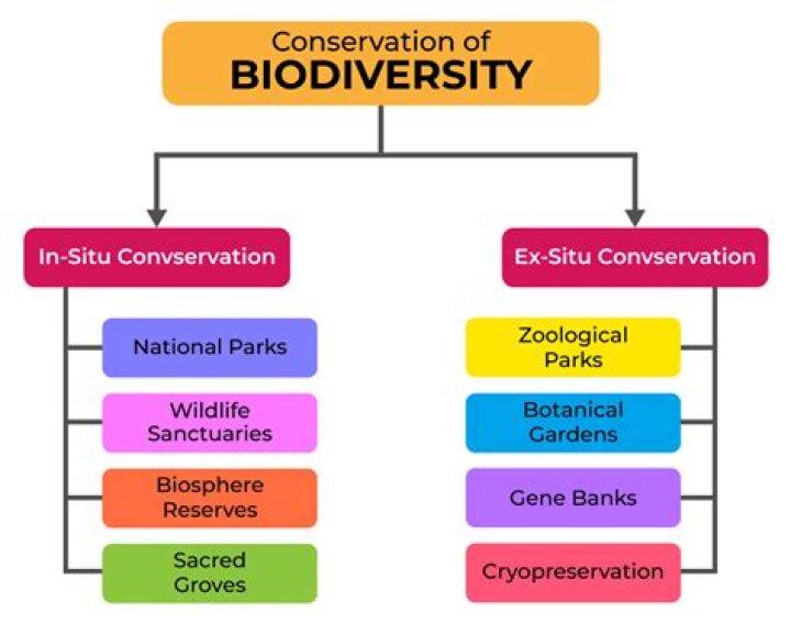 Why socialist society is better for the conservation of environment?
