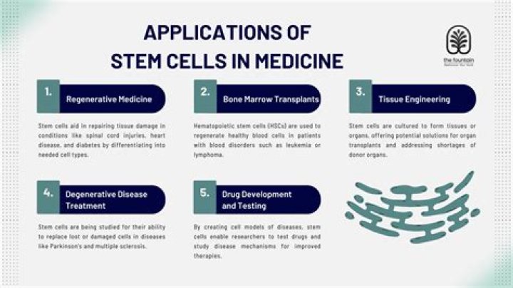 Why starve cells before treatment?