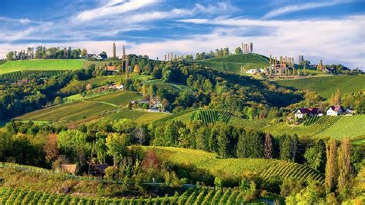 Why styrian not austrian?