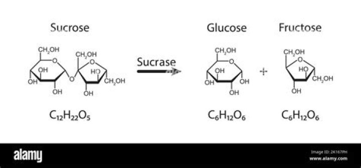 Why sucrose is called invert sugar?