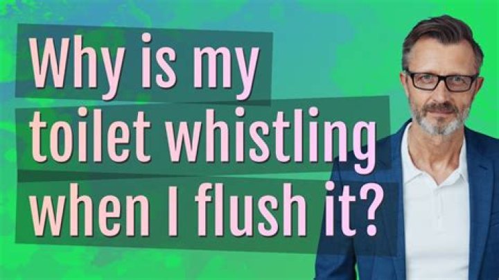 Why toilet whistles when flushed?