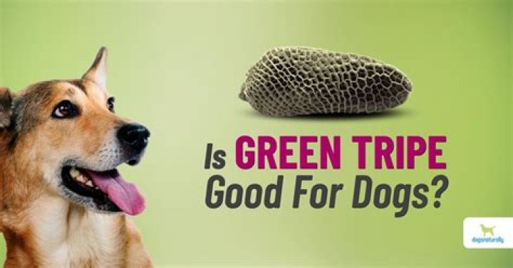 Why tripe is good for dogs?