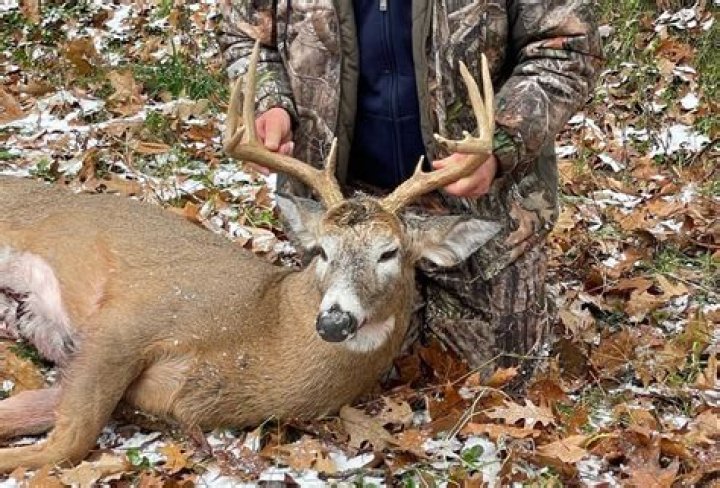 Why trophy hunting is bad?
