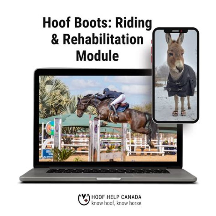 Why use hoof boots?