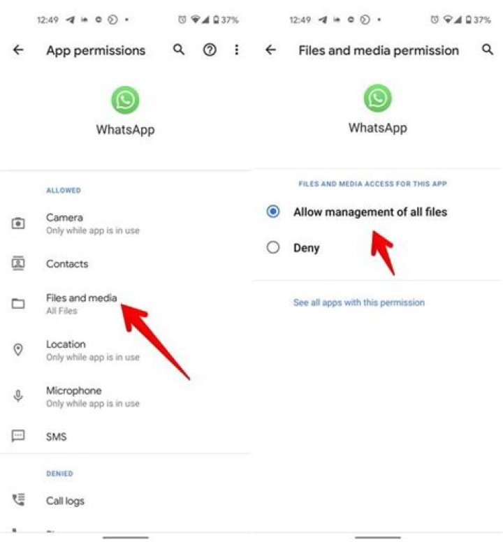 Why videos are not downloading in whatsapp?