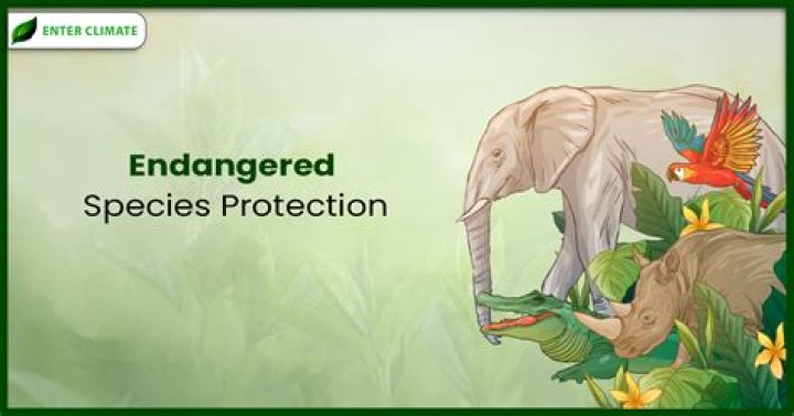 Why voles are endangered?