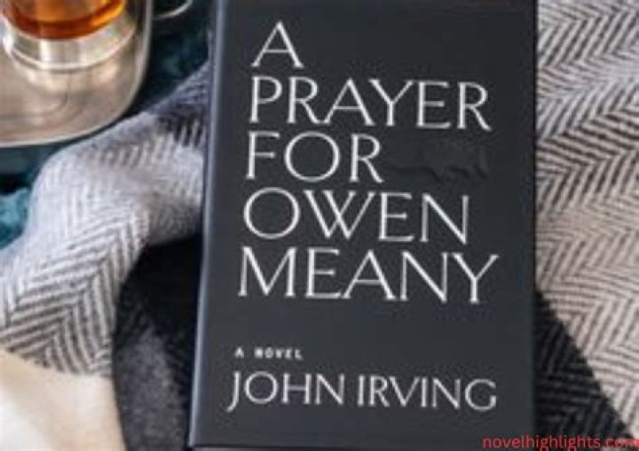 Why was a prayer for owen meany banned?