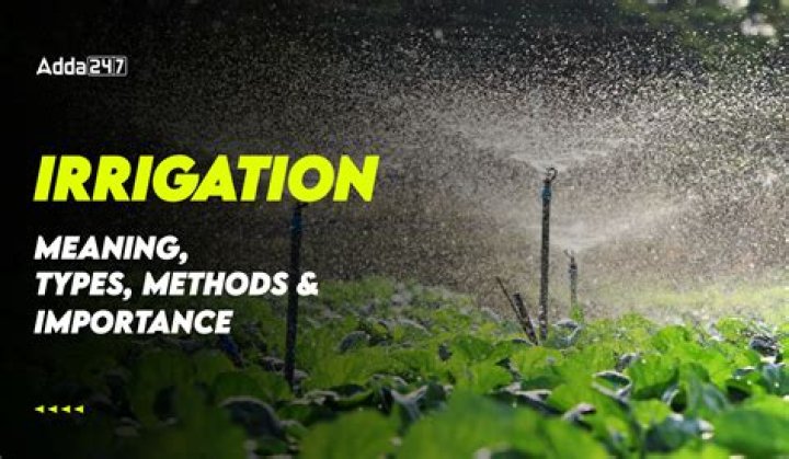 Why was irrigation important to sumer?