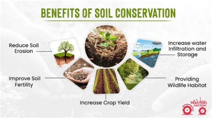 Why water harvesting aids in soil conservation?