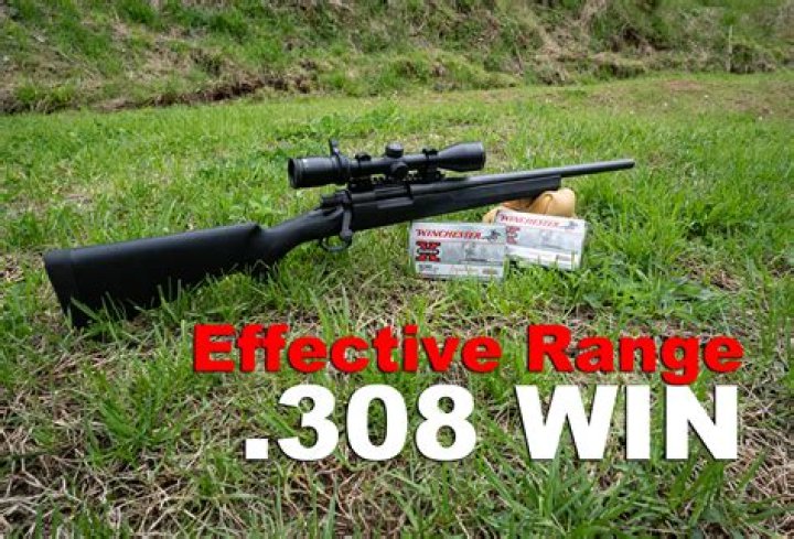 Will a 308 winchester kill a bear?