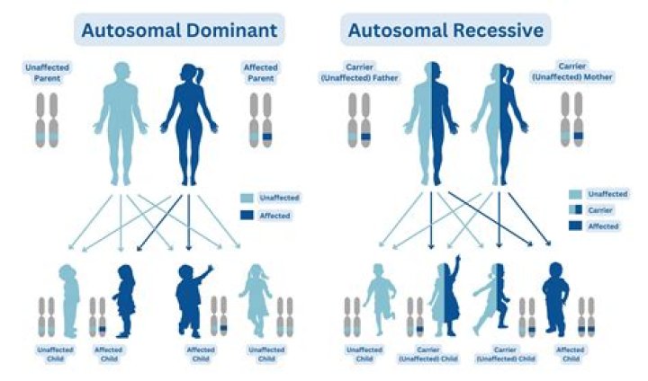 Will a dominant trait show its effect?