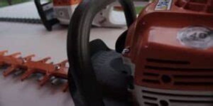 Will a hedge trimmer cut brambles?