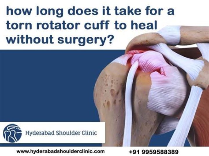 Will a partial supraspinatus tear heal itself?