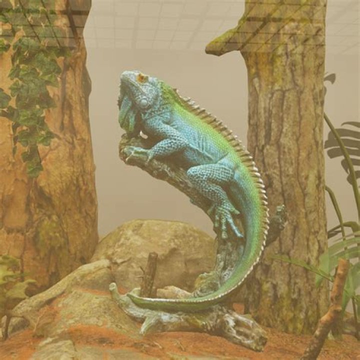 Will a reptile tank hold water?