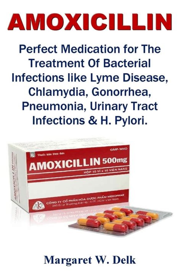 Will amoxicillin kill a kidney infection?