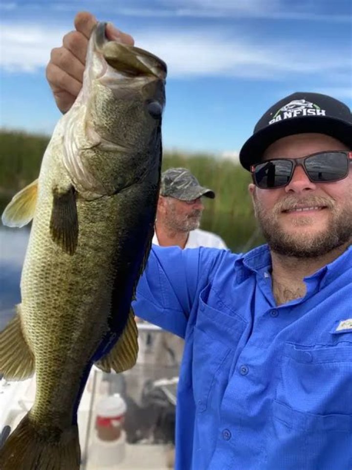 Will bass eat bullheads?