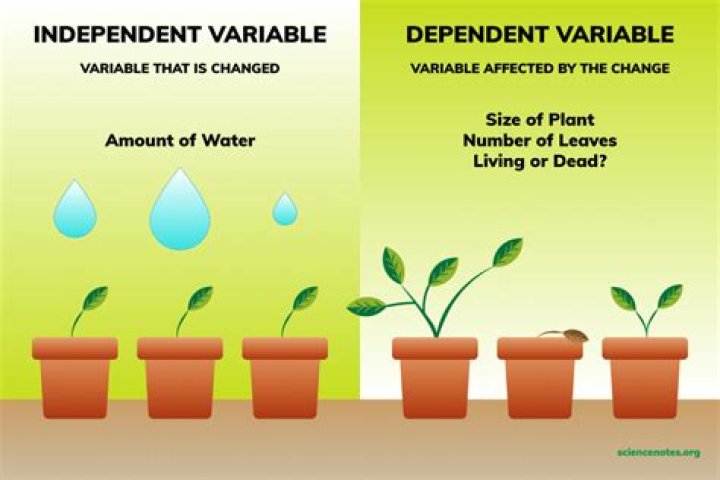 Will be dependent meaning?