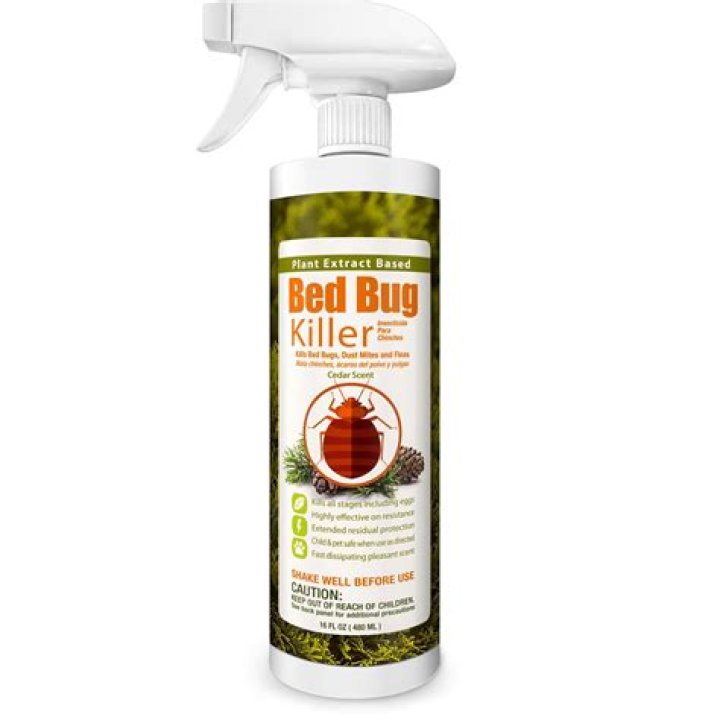 Will bed bug spray kill lice?