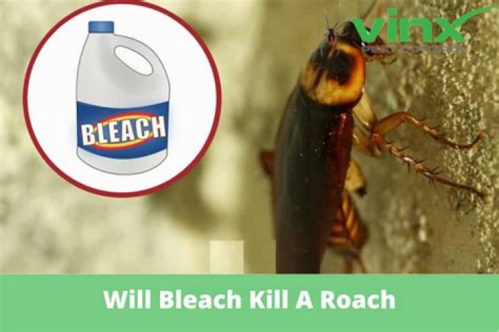 Will bleach kill a salamander?