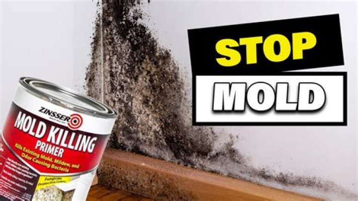 Will bleach kill odors?